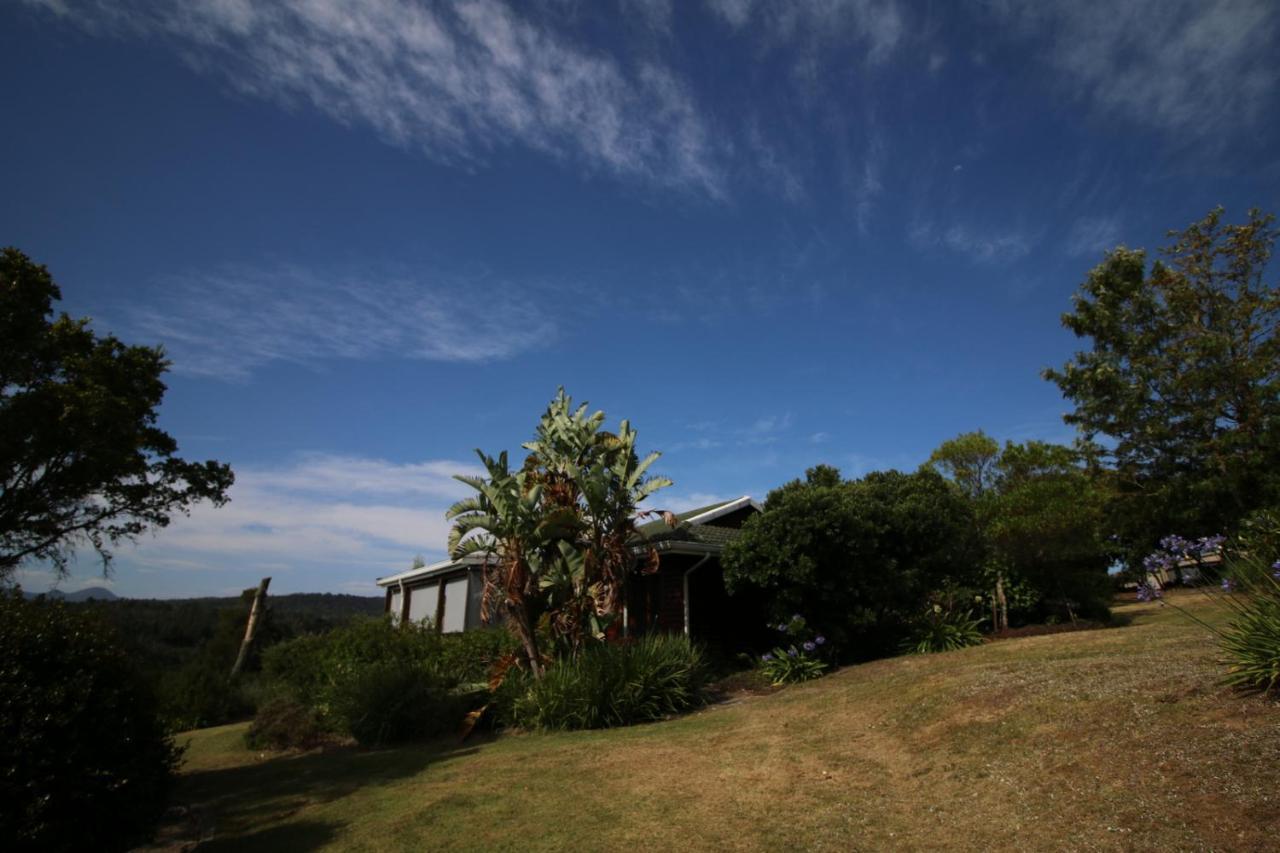 The Wild Edge Last Light Cottage Knysna Eksteriør billede